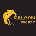 Falkenprojekt Kodi Addon
