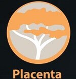 najlepšie kodi addons placenta